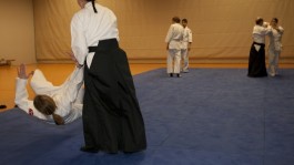 aikido technik