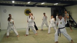 karate uebung erw 1