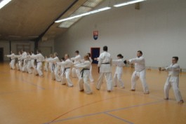 karate technik training