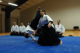 Aikido - Anfängerkurs ab 26.01.2018
