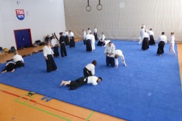 aikido lehrgang 2016